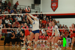 SCFVB_10-31-2024_0085 SCFVB_10-31-2024_0085