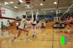 SCFVB_10-31-2024_0117 SCFVB_10-31-2024_0117