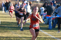AMCC_10-25-2024_0012