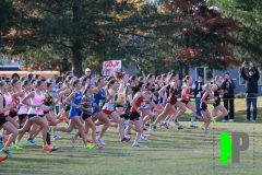 S-AMCC_G_11-1-2025_0002