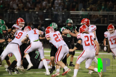 S-AMFB_10-3-2025_0051