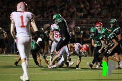 S-AMFB_10-3-2025_0126