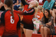 AMVB_8-24-2024_0007 AMVB_8-24-2024_0007