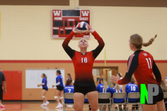 AMVB_8-24-2024_0009 AMVB_8-24-2024_0009