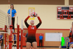 AMVB_8-24-2024_0011 AMVB_8-24-2024_0011