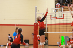 AMVB_8-24-2024_0015 AMVB_8-24-2024_0015