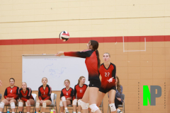 AMVB_8-24-2024_0018 AMVB_8-24-2024_0018