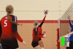 AMVB_8-24-2024_0023 AMVB_8-24-2024_0023