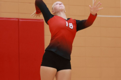 AMVB_8-24-2024_0024 AMVB_8-24-2024_0024