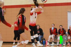 AMVB_8-24-2024_0025 AMVB_8-24-2024_0025