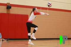 AMVB_8-24-2024_0031 AMVB_8-24-2024_0031