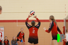 AMVB_8-24-2024_0033 AMVB_8-24-2024_0033
