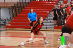 AMVB_9-19-2024_0017 AMVB_9-19-2024_0017