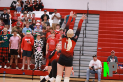 AMVB_9-19-2024_0027 AMVB_9-19-2024_0027