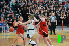 B-BWGBB_3-8-2025_0008 B-BWGBB_3-8-2025_0008