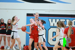B-BWGBB_3-8-2025_0011 B-BWGBB_3-8-2025_0011