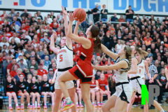 B-BWGBB_3-8-2025_0017 B-BWGBB_3-8-2025_0017