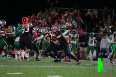 D-BWFB_-10-10-2025_0031