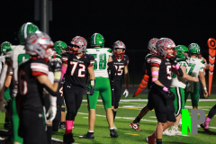 S-BWFB_-10-10-2025_0071