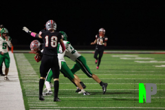 S-BWFB_-10-10-2025_0079