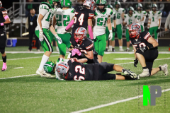 S-BWFB_-10-10-2025_0123