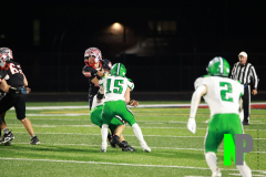 S-BWFB_-10-10-2025_0155