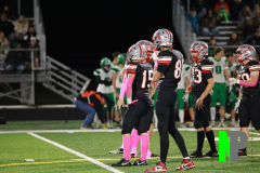 S-BWFB_-10-10-2025_0174