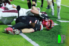 D-BWFB_11-14-2025_0014