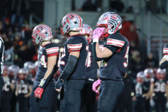 D-BWFB_11-14-2025_0054