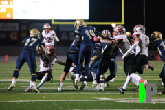 S-BWFB_11-7-2025_0090