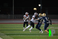 S-BWFB_11-7-2025_0108