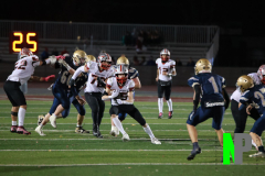 S-BWFB_11-7-2025_0110