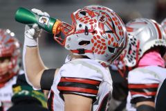 S-BWFB_11-7-2025_0116