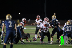 S-BWFB_11-7-2025_0146