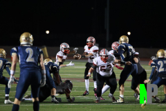 S-BWFB_11-7-2025_0147