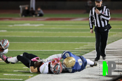 S-BWFB_11-7-2025_0175