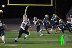 S-BWFB_11-7-2025_0191