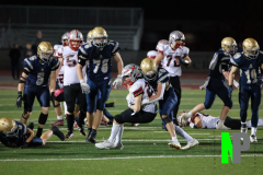 S-BWFB_11-7-2025_0195