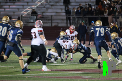 S-BWFB_11-7-2025_0198