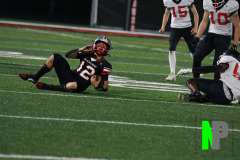 D-BWFB_9-19-2025_0074