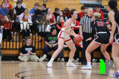 D-BWGBB_2-12-2026_0119