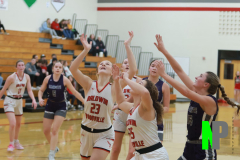 BWGBB_2-2-2024_0042 BWGBB_2-2-2024_0042