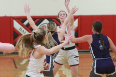 BWGBB_2-2-2024_0116 BWGBB_2-2-2024_0116