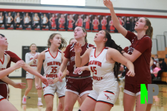 BWGBB_2-9-2024_0165 BWGBB_2-9-2024_0165