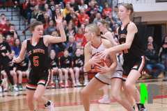 BWGBB_3-2-2024_0024 BWGBB_3-2-2024_0024