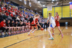 BWGBB_3-6-2025_0007-b BWGBB_3-6-2025_0007-b