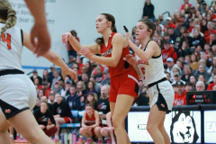 BWGBB_3-8-2025_0070 BWGBB_3-8-2025_0070