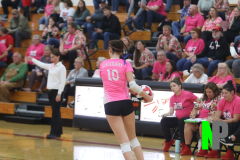 BWVB_10-10-2023_0082 BWVB_10-10-2023_0082