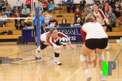 BWVB_10-5-2023_0079 BWVB_10-5-2023_0079