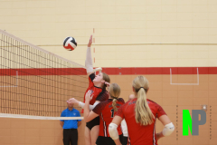 BWVB_8-24-2024_0011 BWVB_8-24-2024_0011